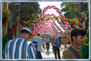 Birth Anniversary