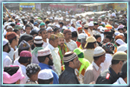 Sandal Processions